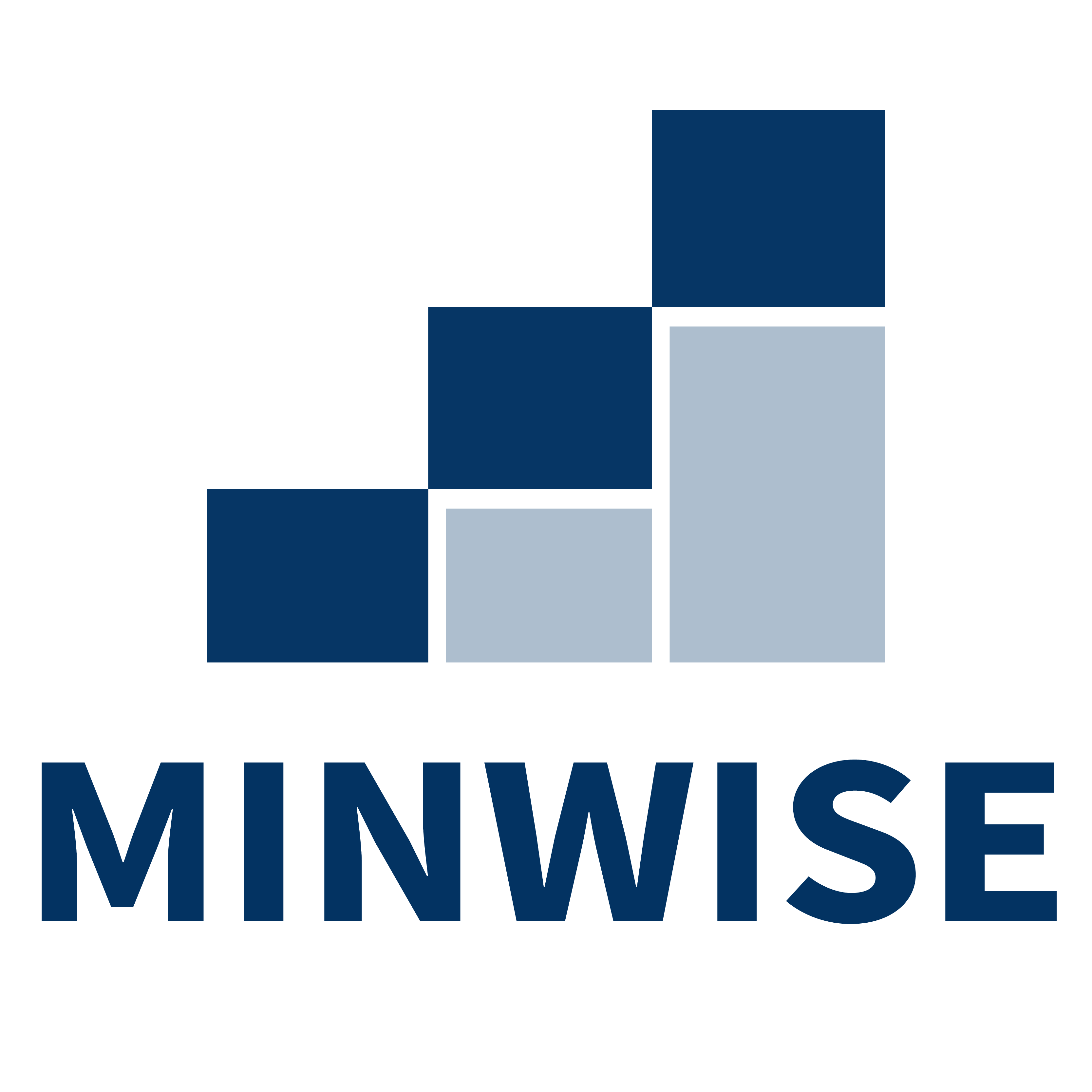 minwisebusiness